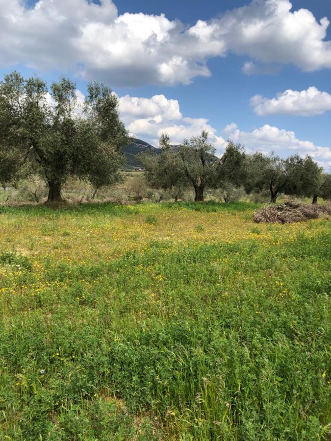 Maremma Toscana Podere Poggiarelli Lejlighed Campagnatico Eksteriør billede