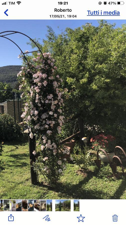 Maremma Toscana Podere Poggiarelli Lejlighed Campagnatico Eksteriør billede