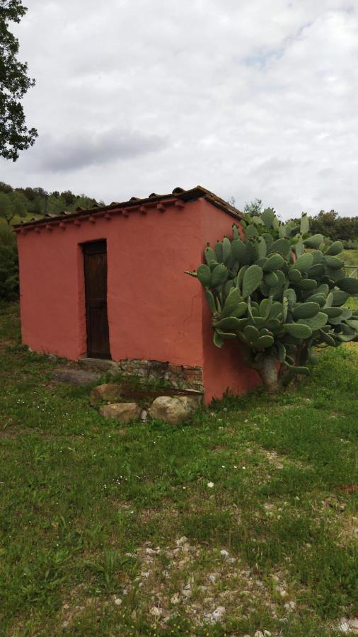 Maremma Toscana Podere Poggiarelli Lejlighed Campagnatico Eksteriør billede