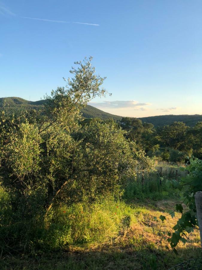 Maremma Toscana Podere Poggiarelli Lejlighed Campagnatico Eksteriør billede